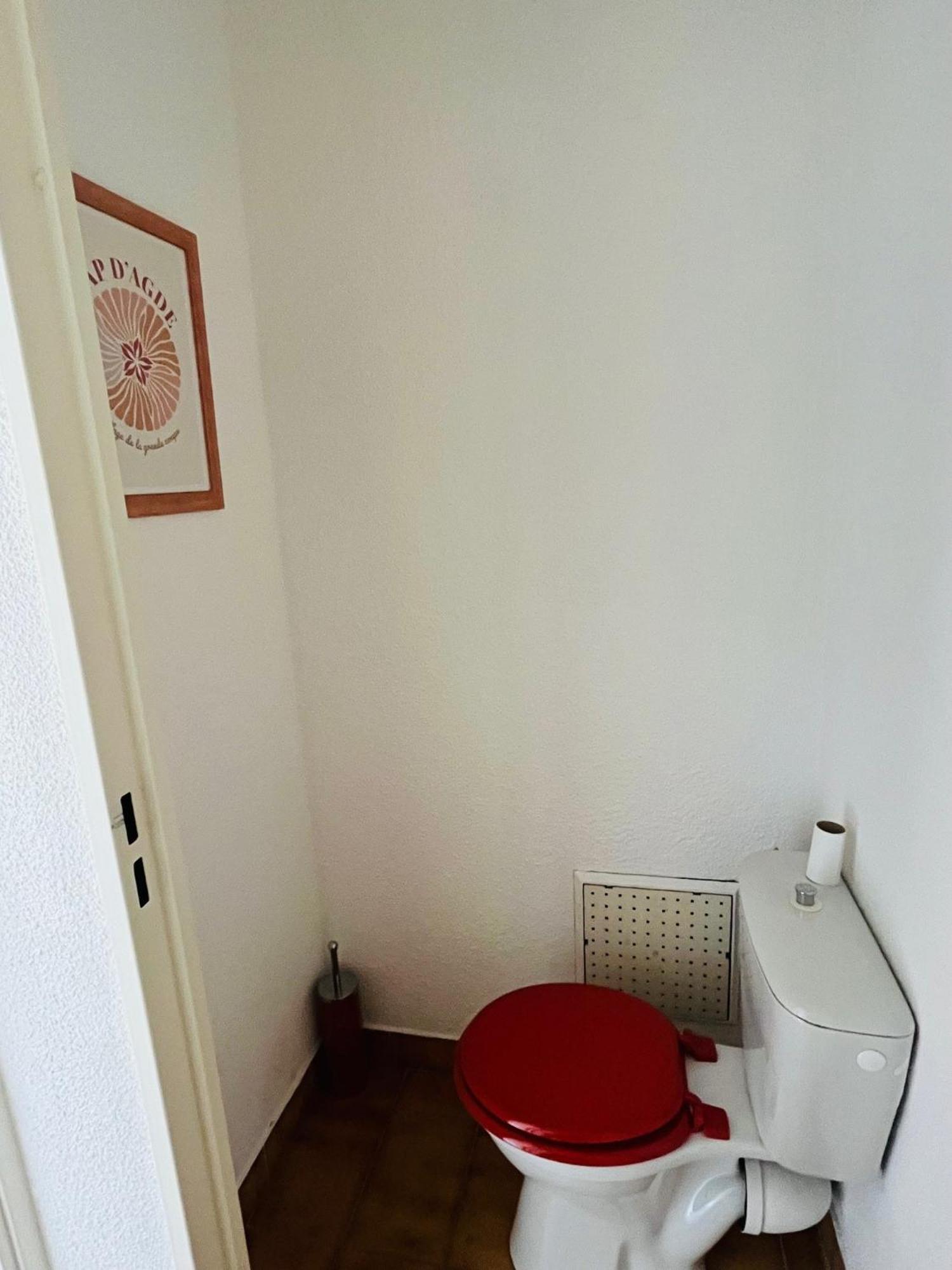 T2 ,4 Couchages ,Climatise ,Terrace ,En Face D'Aqualand ,Plage Rochelongue Agde Kültér fotó